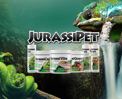 Jurassipet