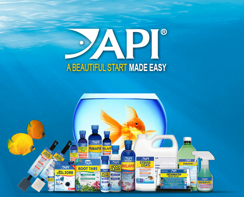 Api fishcare